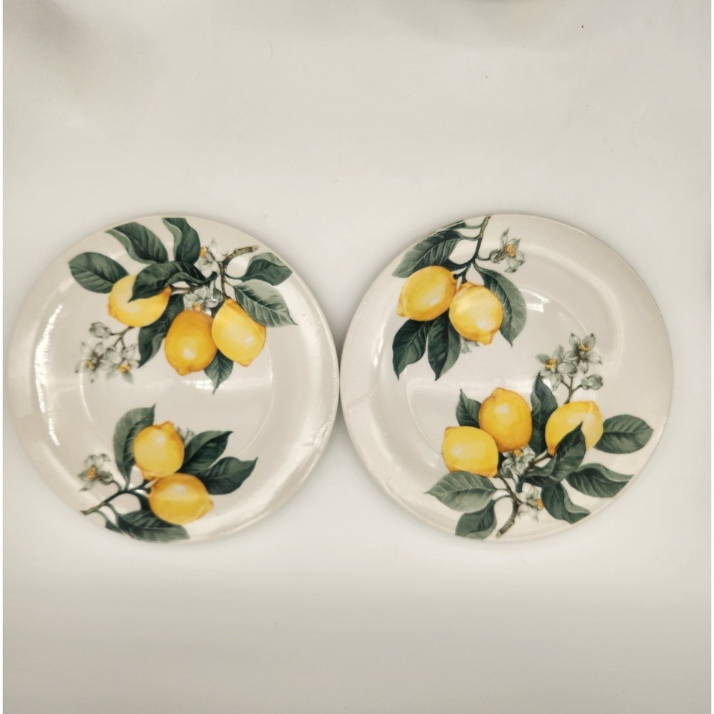 Royal Norfolk Lemon Pattern Set Of 2 Dinner & Salad/Dessert Plates Bowls & Mugs‎